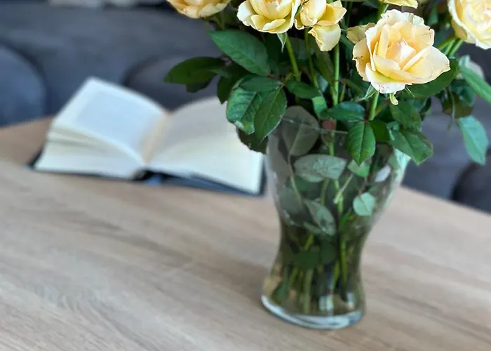 Grosse Sundpfote Appartement